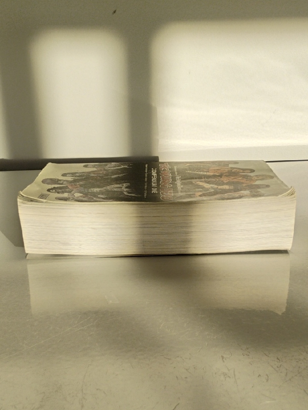 The Walking Dead Compendium One - Graphic Novel Paperback - Picture 5 of 6